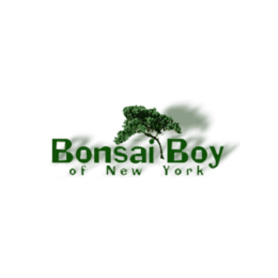 bonsai boy of newyork discount codes